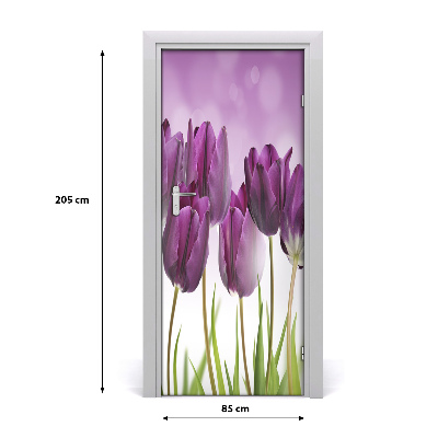 Fototapeta samolepiace fialové tulipány