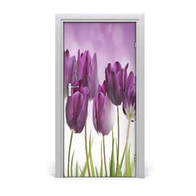 Fototapeta samolepiace fialové tulipány