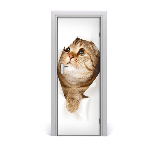 Samolepiace fototapety na dvere mačka