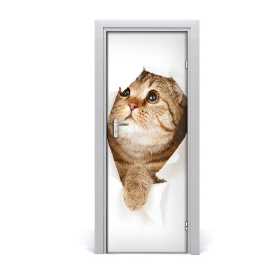 Samolepiace fototapety na dvere mačka