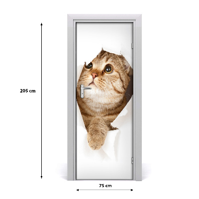Samolepiace fototapety na dvere mačka