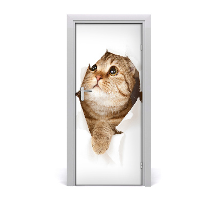 Samolepiace fototapety na dvere mačka