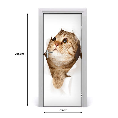 Samolepiace fototapety na dvere mačka