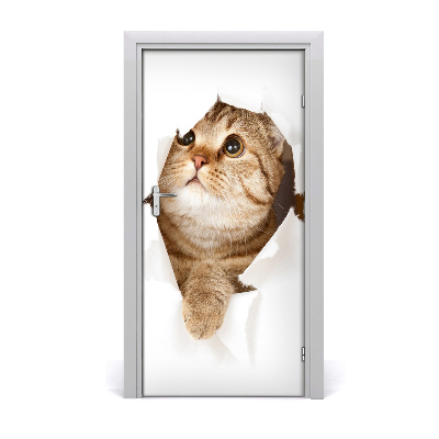 Samolepiace fototapety na dvere mačka