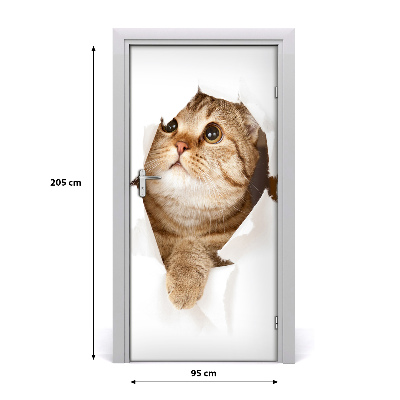 Samolepiace fototapety na dvere mačka