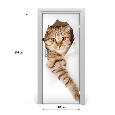 Samolepiace fototapety na dvere mačka