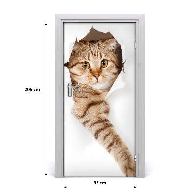Samolepiace fototapety na dvere mačka