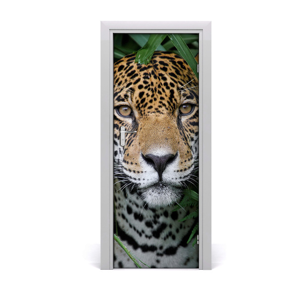 Fototapeta samolepiace na dvere Amazónie jaguár