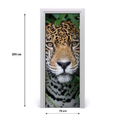 Fototapeta samolepiace na dvere Amazónie jaguár