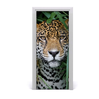Fototapeta samolepiace na dvere Amazónie jaguár