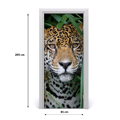 Fototapeta samolepiace na dvere Amazónie jaguár
