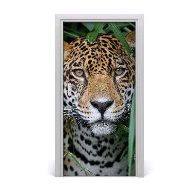 Fototapeta samolepiace na dvere Amazónie jaguár