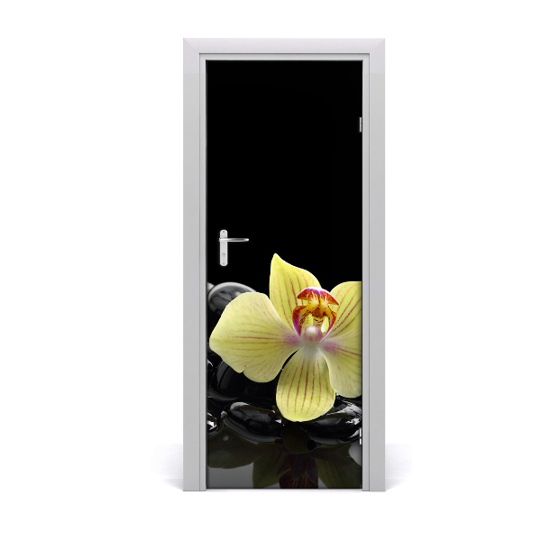 Fototapeta samolepiace Orchidea a kamene