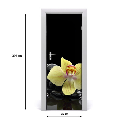 Fototapeta samolepiace Orchidea a kamene