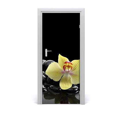 Fototapeta samolepiace Orchidea a kamene