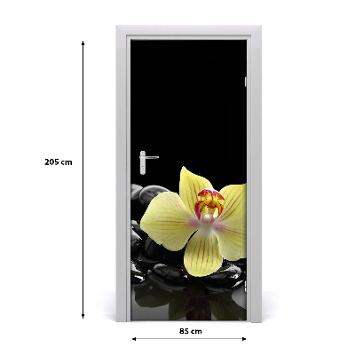 Fototapeta samolepiace Orchidea a kamene