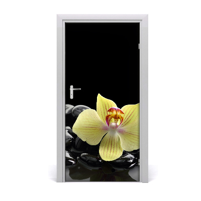 Fototapeta samolepiace Orchidea a kamene