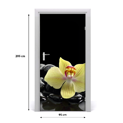 Fototapeta samolepiace Orchidea a kamene
