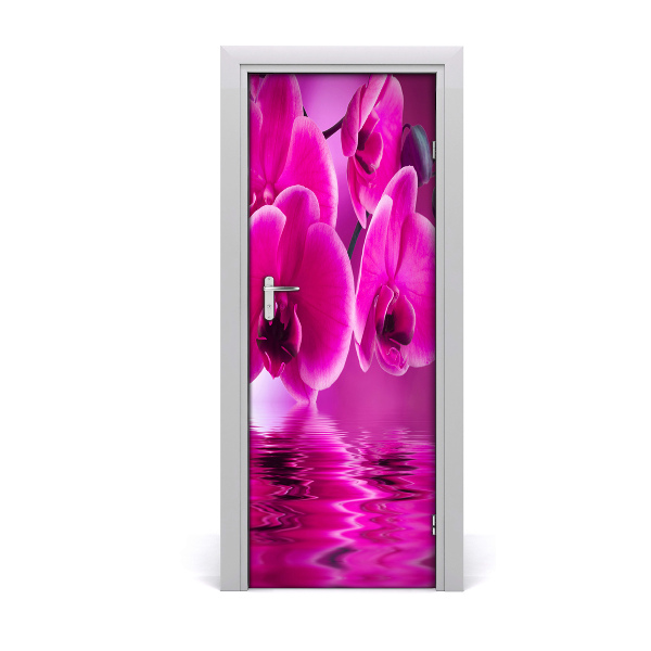 Fototapeta samolepiace ružová orchidea