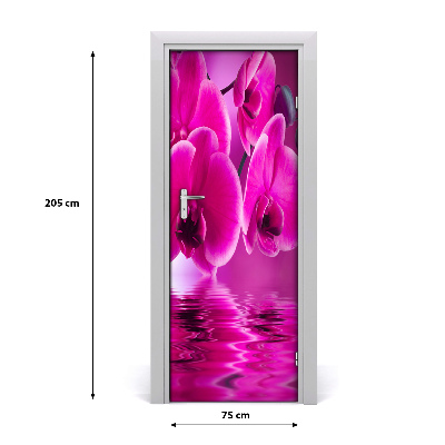 Fototapeta samolepiace ružová orchidea