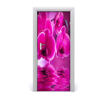 Fototapeta samolepiace ružová orchidea