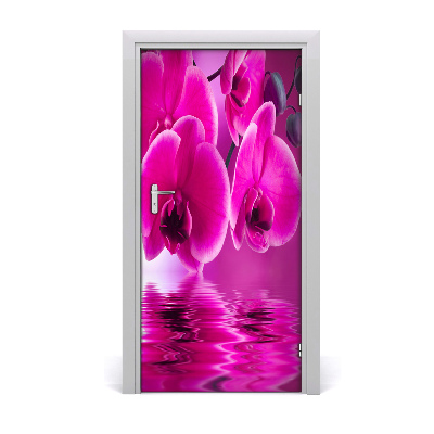 Fototapeta samolepiace ružová orchidea