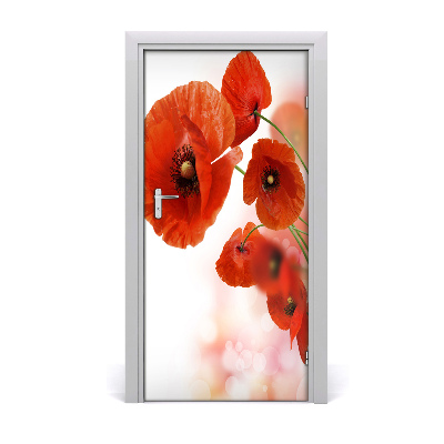 Fototapeta samolepiace poľné mak