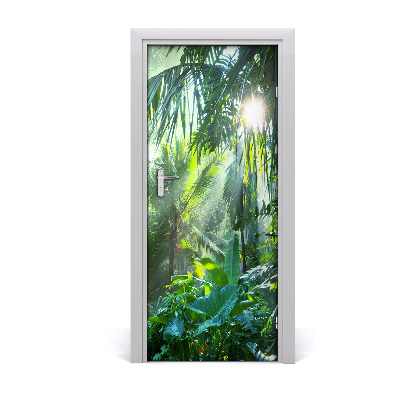 Fototapeta samolepiace prales