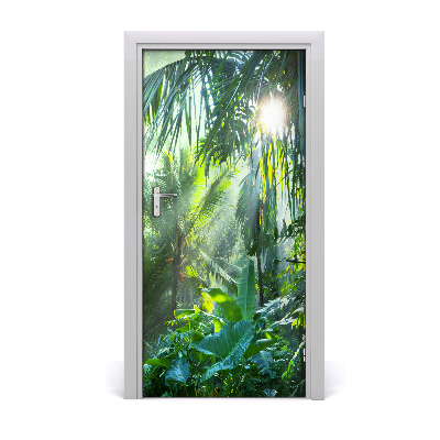 Fototapeta samolepiace prales