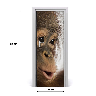 Samolepiace fototapety na dvere mladý orangutan
