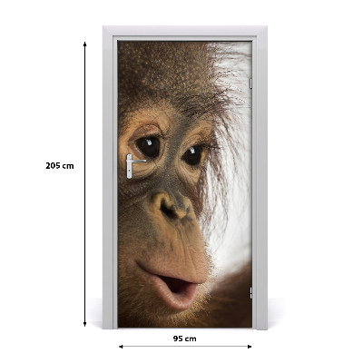 Samolepiace fototapety na dvere mladý orangutan
