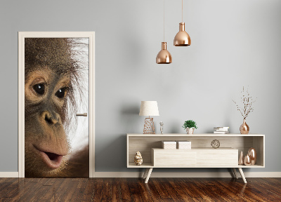 Samolepiace fototapety na dvere mladý orangutan