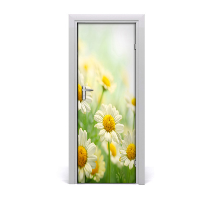 Fototapeta samolepiace Sedmikárska