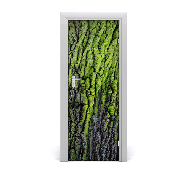 Fototapeta samolepiace kôra stromu