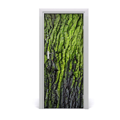 Fototapeta samolepiace kôra stromu