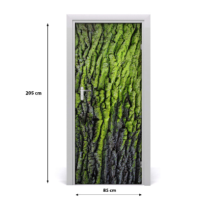 Fototapeta samolepiace kôra stromu