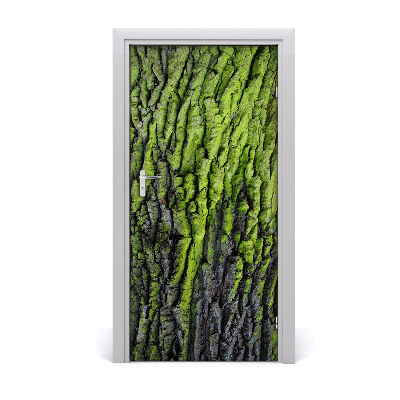 Fototapeta samolepiace kôra stromu