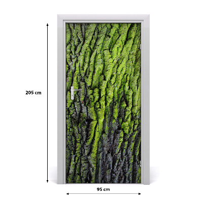 Fototapeta samolepiace kôra stromu