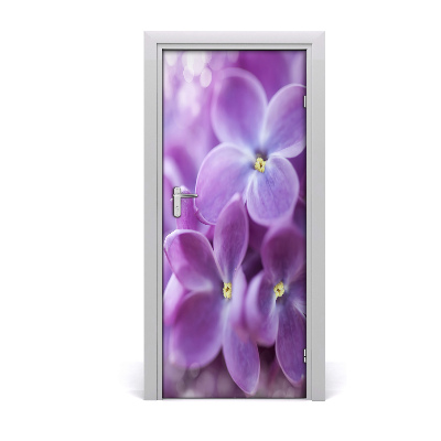 Fototapeta samolepiace kvety bazy