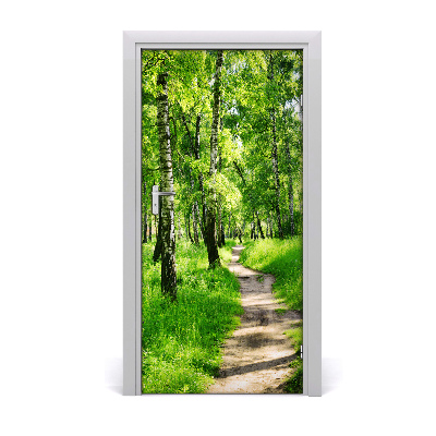 Fototapeta na dvere Břízová les
