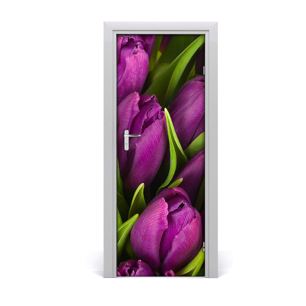 Fototapeta samolepiace fialové tulipány