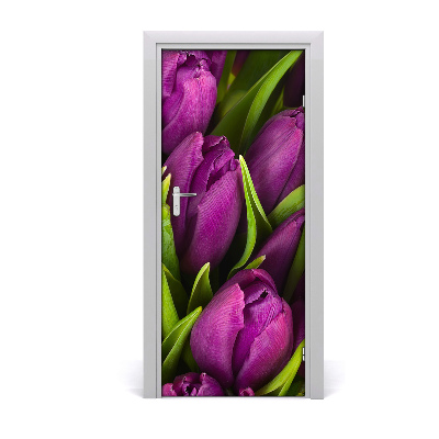 Fototapeta samolepiace fialové tulipány