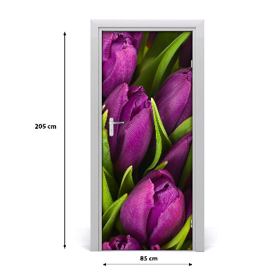 Fototapeta samolepiace fialové tulipány