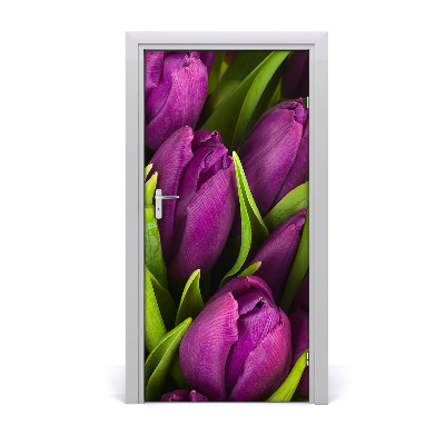 Fototapeta samolepiace fialové tulipány