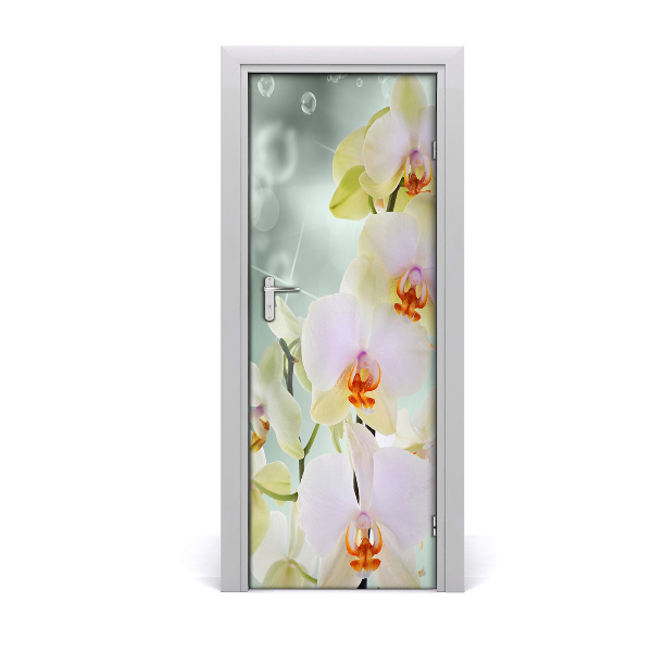 Fototapeta samolepiace orchidea