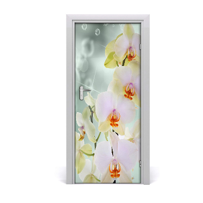 Fototapeta samolepiace orchidea