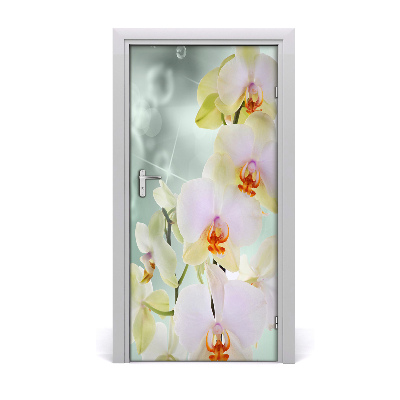 Fototapeta samolepiace orchidea