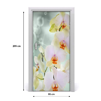 Fototapeta samolepiace orchidea