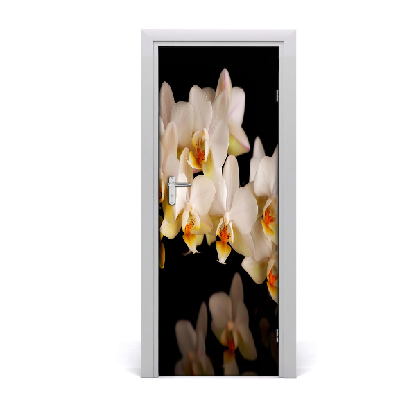 Fototapeta samolepiace orchidea