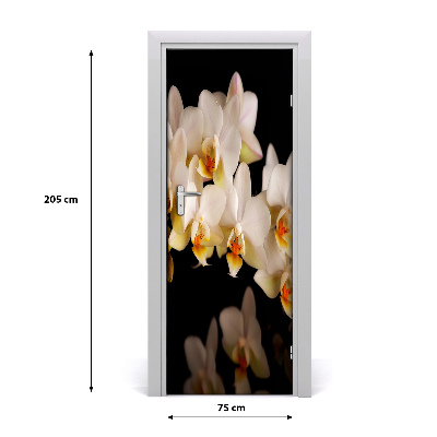 Fototapeta samolepiace orchidea